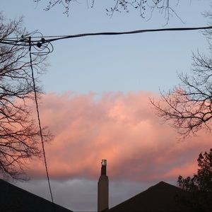 Meet your Posher, Abigail